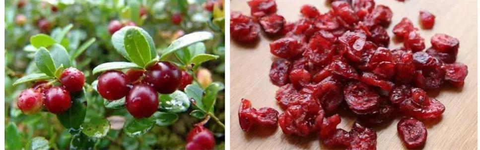 宝宝喝的奶粉消化不了怎么办,宝宝喝不完的奶粉怎么办