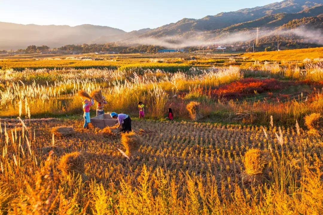 云南中越边境小城,云南新兴网红城市