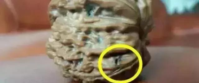 木质手串上的小虫子,手串里的小虫子