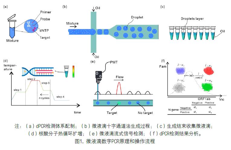 pcr在流感监测中的应用,pcr在疫情中的应用