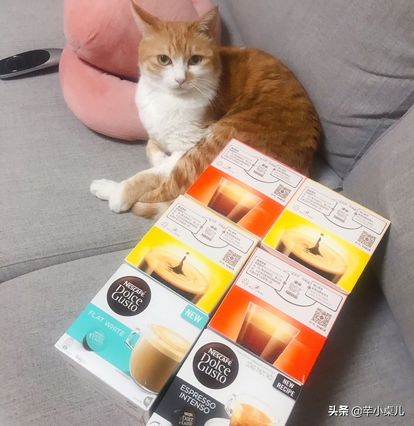 速溶咖啡挂耳咖啡选哪个,挂耳咖啡和胶囊咖啡哪个好