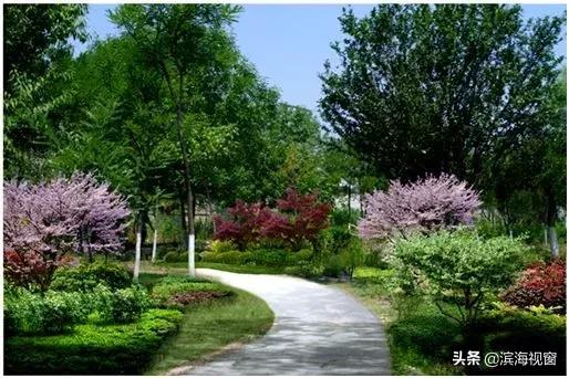 天津市今年地铁项目有哪些,天津新增地铁路线