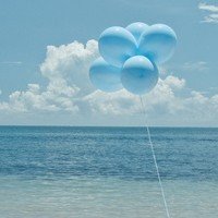 翡翠鉴别一般怎么鉴定,怎样辨别真假翡翠最有效的方法