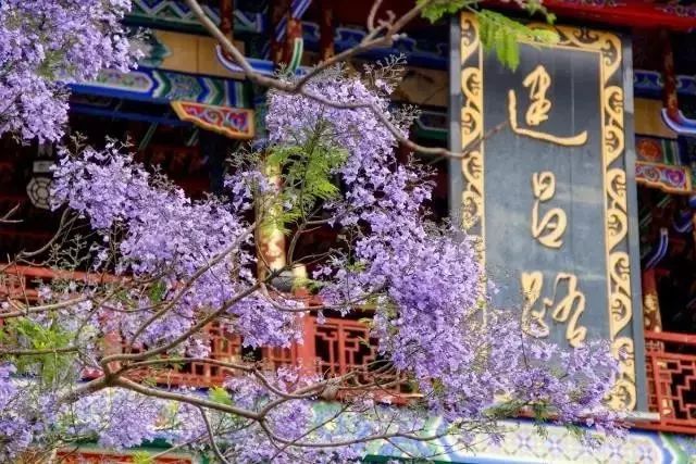 四川藏着一个静谧古城,四川被忽略的古城