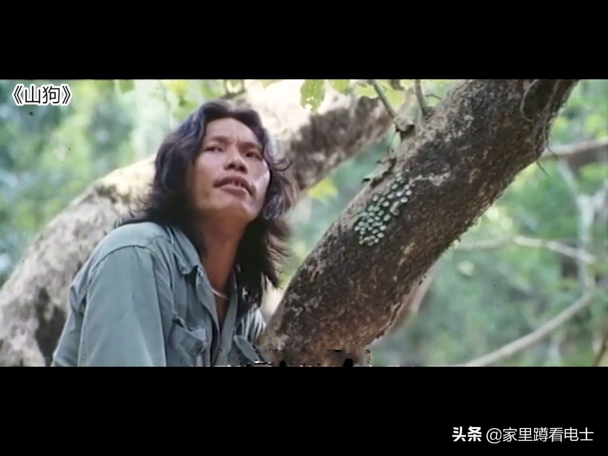 一个女孩复仇杀黑帮的电影,复仇少女1电影完整版