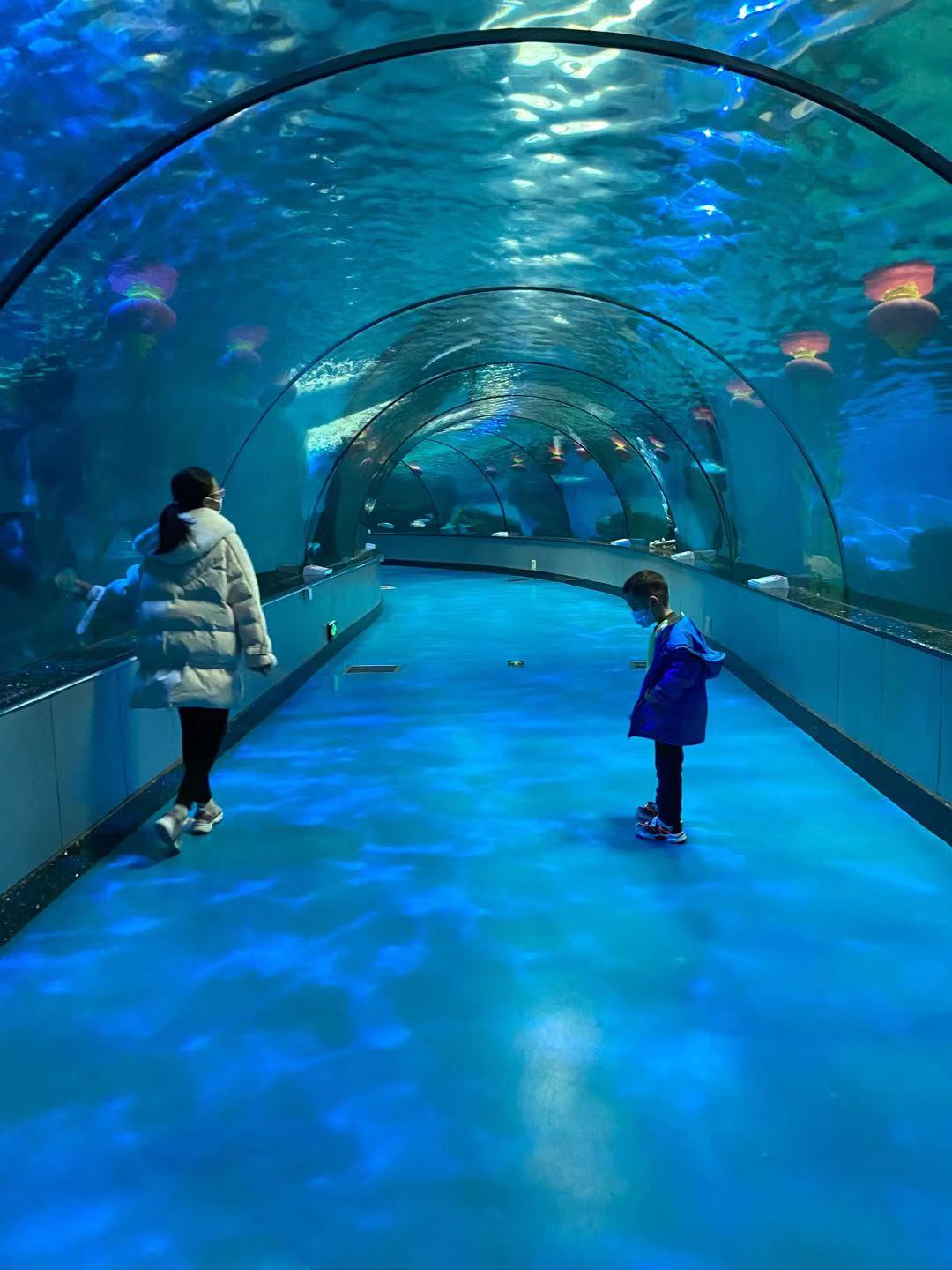 怎样解决孩子叛逆厌学情绪的方法,孩子叛逆情绪暴躁厌学