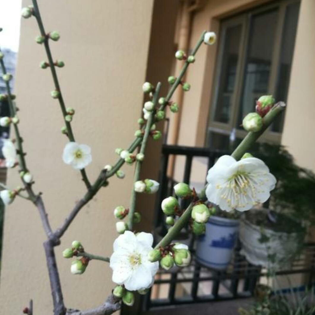 中国古诗词三十六首,中国诗词大会古诗词收录