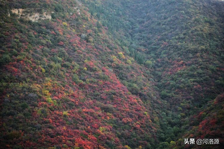 巩义最美乡村,巩义最美乡村游玩好去处