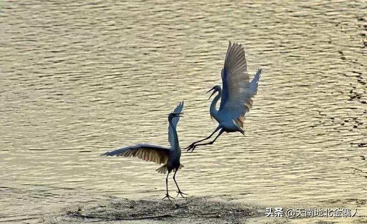 大美金寨：史河两岸的变迁