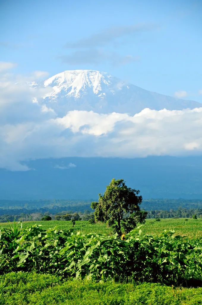 宅家封印解除,漫长的宅家封印解除
