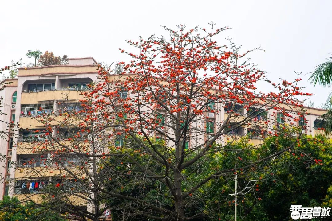 东怡新区怎么样,住在这儿的都是人生赢家