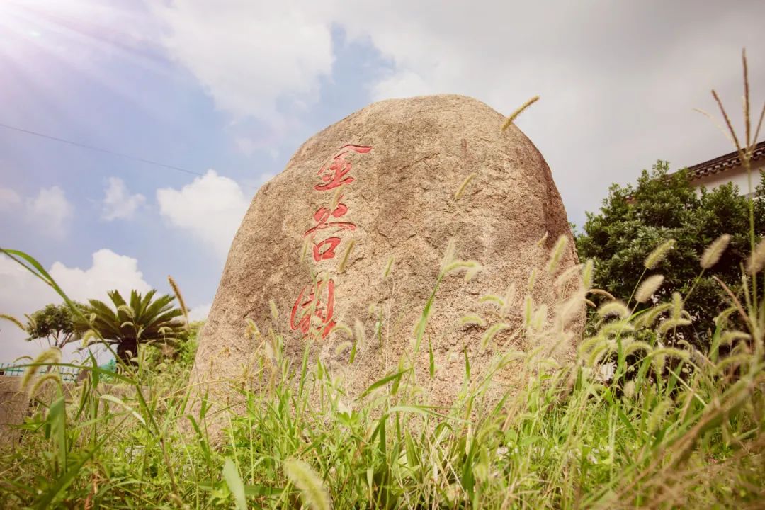 羡慕!快来看看江阴申港街道这些“美丽”榜样