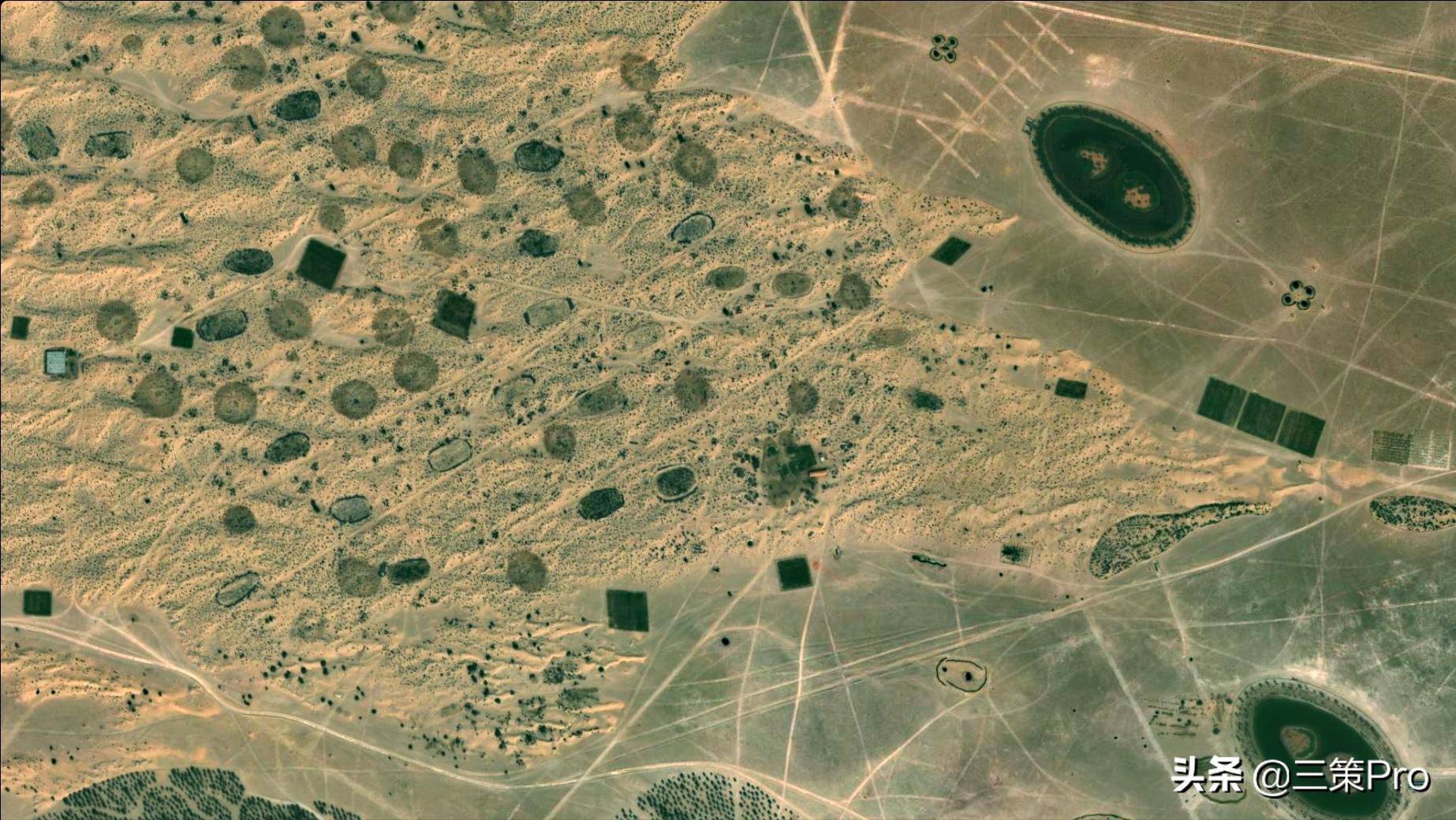 沙漠玫瑰在阿联酋卖灯具,阿联酋迪拜玫瑰