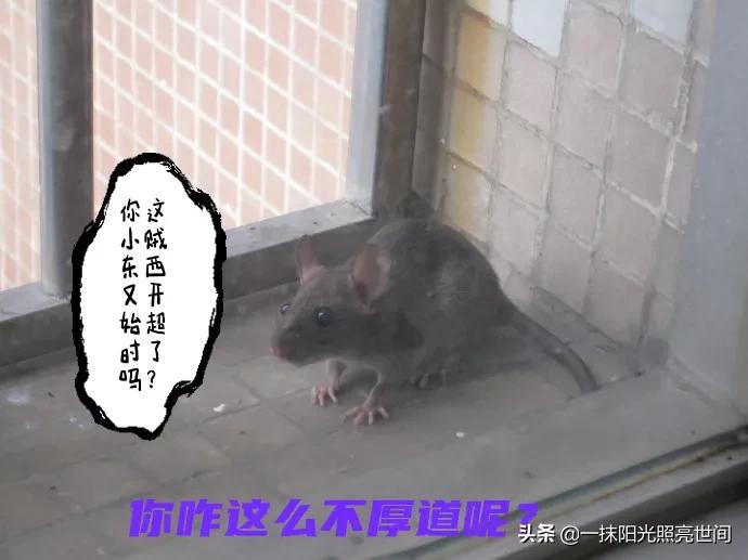 农村生活有几个人能懂,农村你了解多少