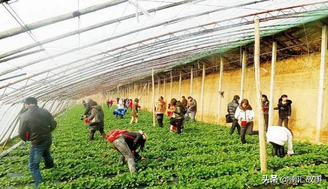 大南汇，永远310225，119，所有回不去的日子都有道理