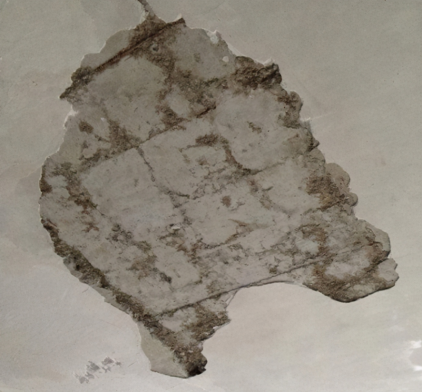 天花板掉皮解决方案,天花板掉皮可以贴什么处理