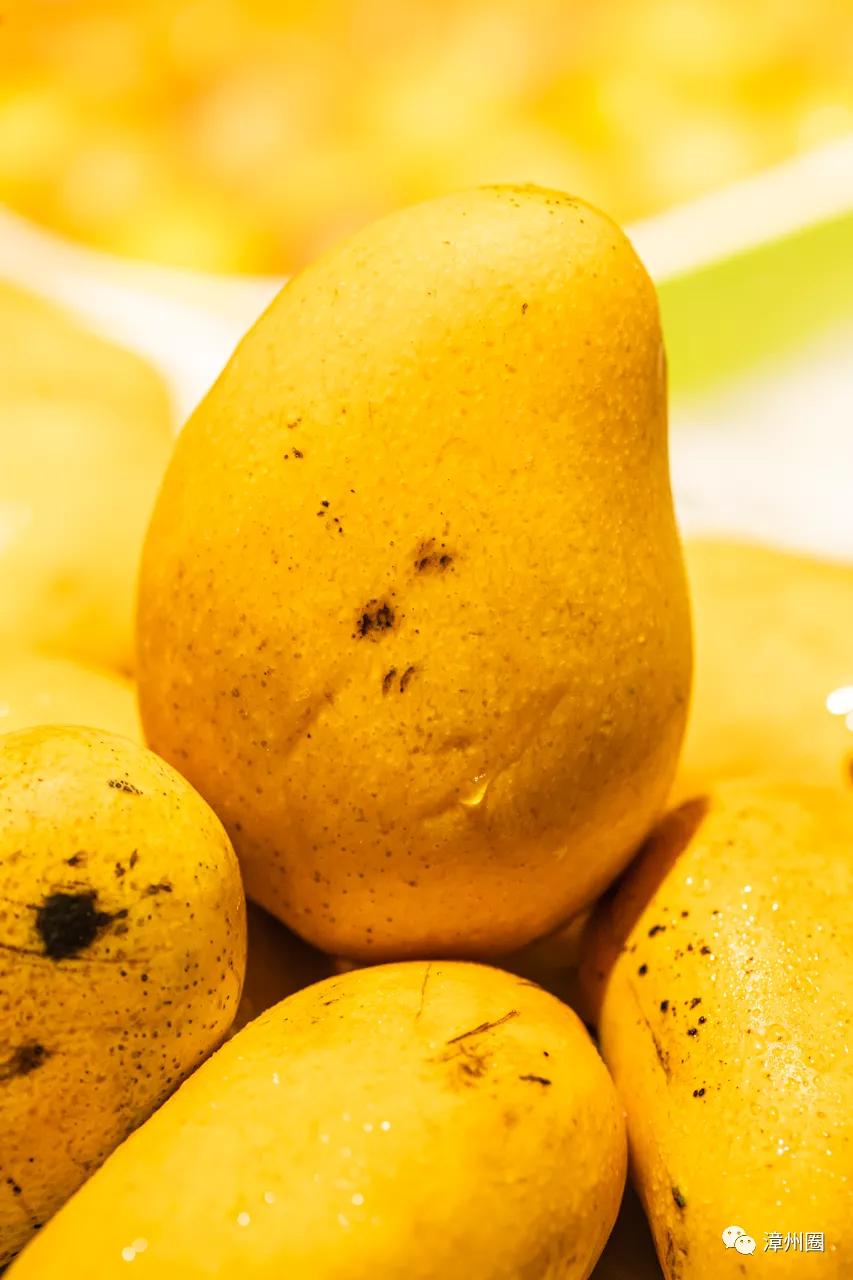 小龙虾海鲜自助烤肉,这家自助餐性价比超高