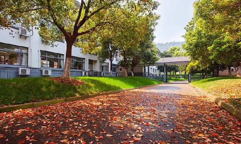 江苏省木渎高级中学占地,江苏省木渎高级中学