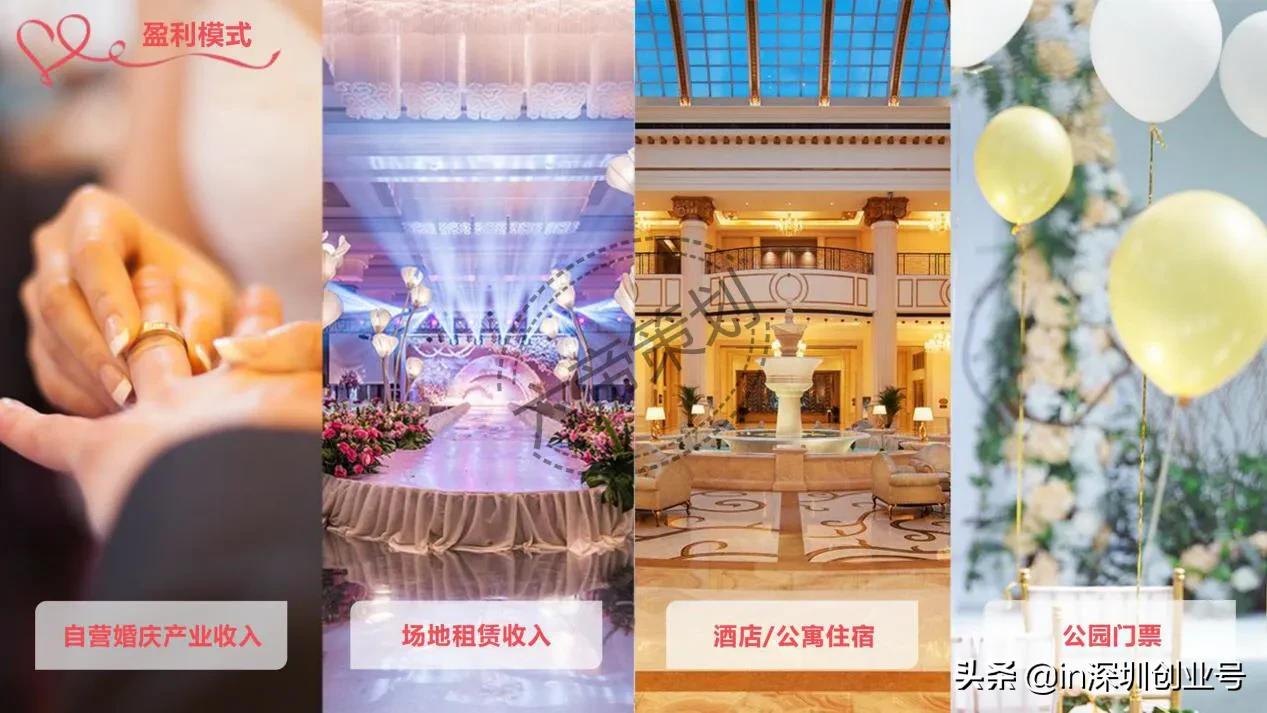 商业计划书融资成功案例,品牌融资商业计划书ppt案例