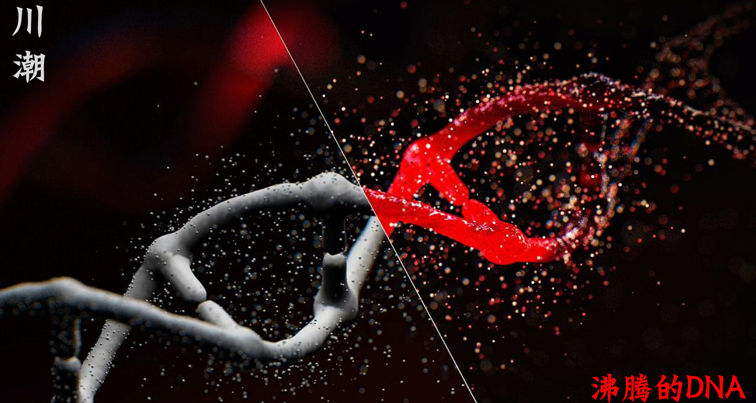 加拿大品牌，沸腾鱼乡品牌策划设计纪实｜花万里餐饮设计