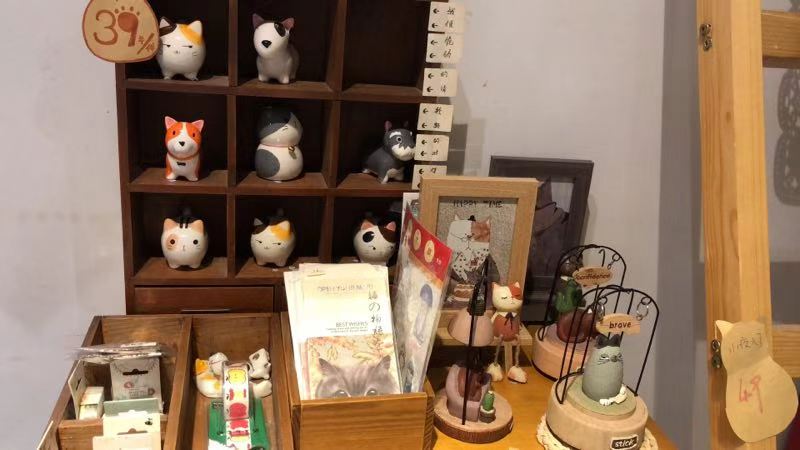 猫咪咖啡馆哪个最好,北京有名的猫咪咖啡馆