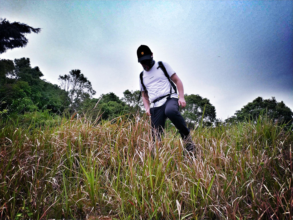 猛犸象什么装备好,猛犸象装备如何配