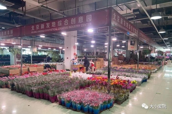 可以逛的花卉市场,值得去看的花卉市场