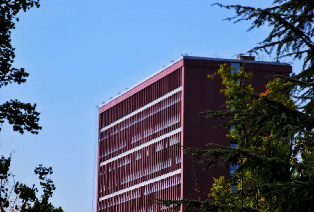 四川具有博士授予权的大学,成都大学有没有博士授予点