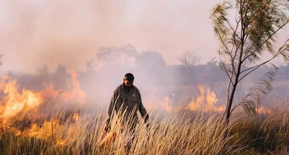 土著治疗者怎么打,土著方略