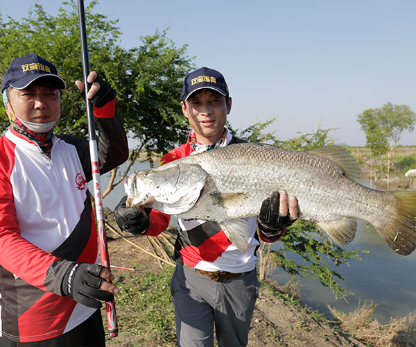 双宝渔具旗舰店宏图鱼竿,美人鱼鱼竿和双宝鱼竿哪个好