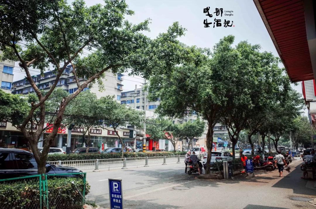 成渝中线高铁新建十陵,成渝高铁中线十陵南站建设时间