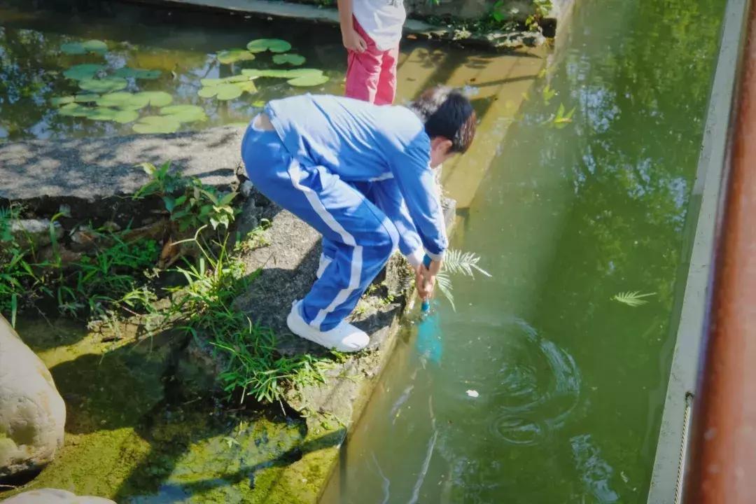 最近的华侨城,独一无二华侨城