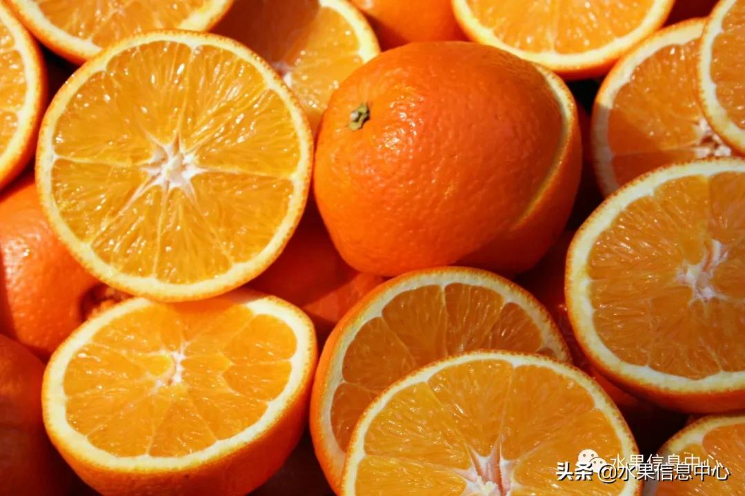 全国橙子产地在哪,中国橙子产地