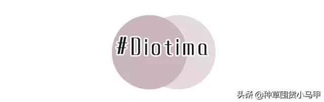 专柜卖假货,卖假货到底该不该硬气回应