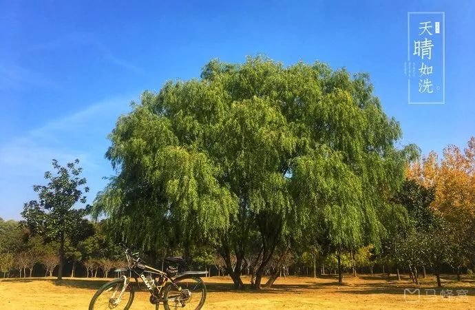 免费公园南京,南京江北免费公园