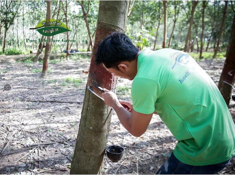 娜帕蒂卡泰国乳胶,泰国原装娜帕蒂卡乳胶床垫
