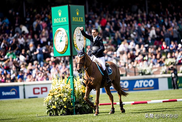 什么!听说几天后云杉草地将会上演一场冠军“厮杀”?