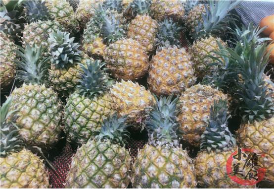 吃菠萝前要怎样处理才好吃,吃菠萝正确的小技巧