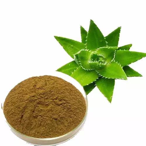 网传芦荟涂脸可以祛痘，是真的吗？千万别再踩坑了