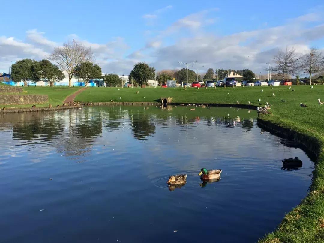 2.5.3漫话新西兰－－（第0篇）只如初见