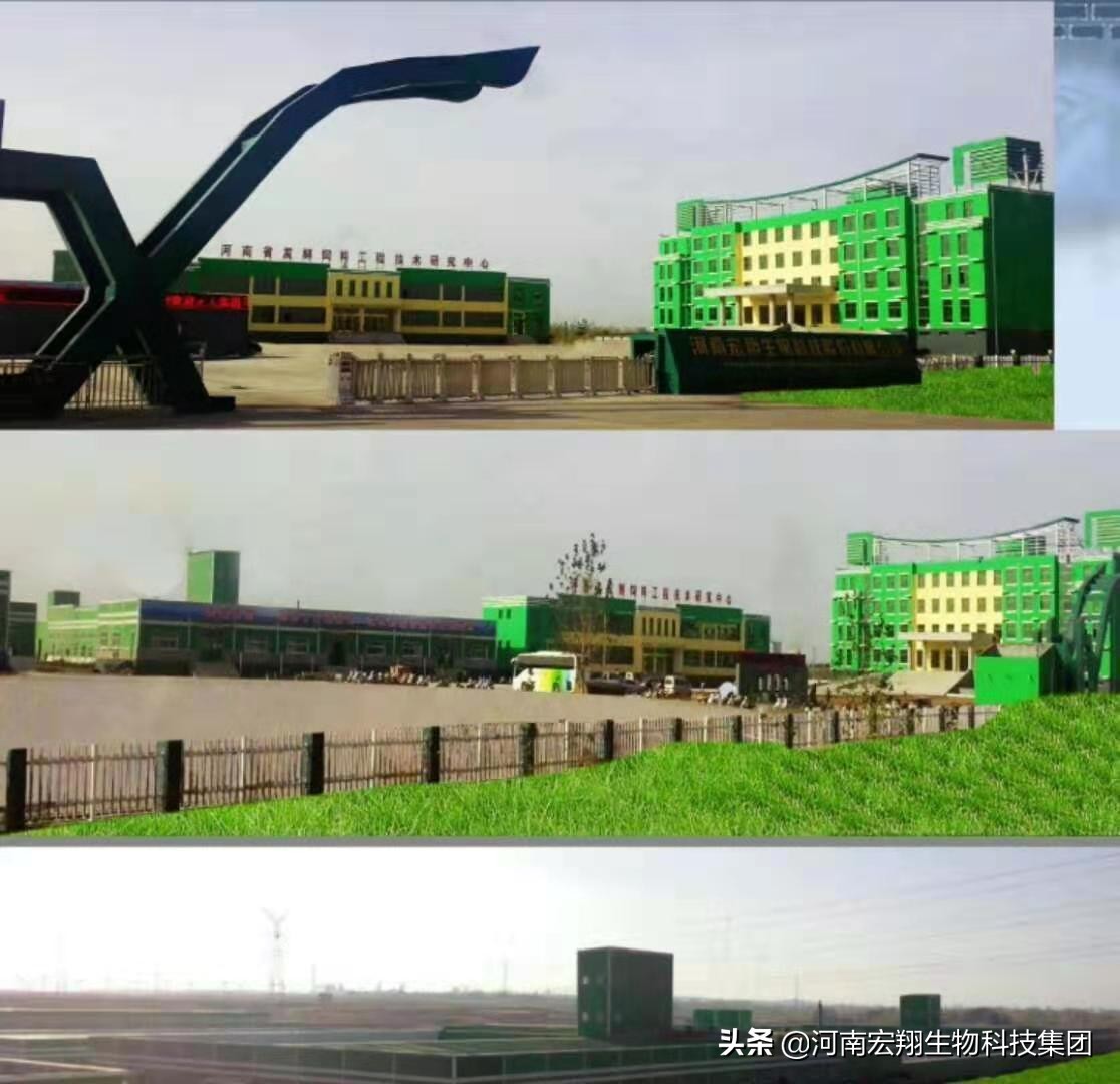 无抗养殖健康伴侣,无抗养猪益生菌