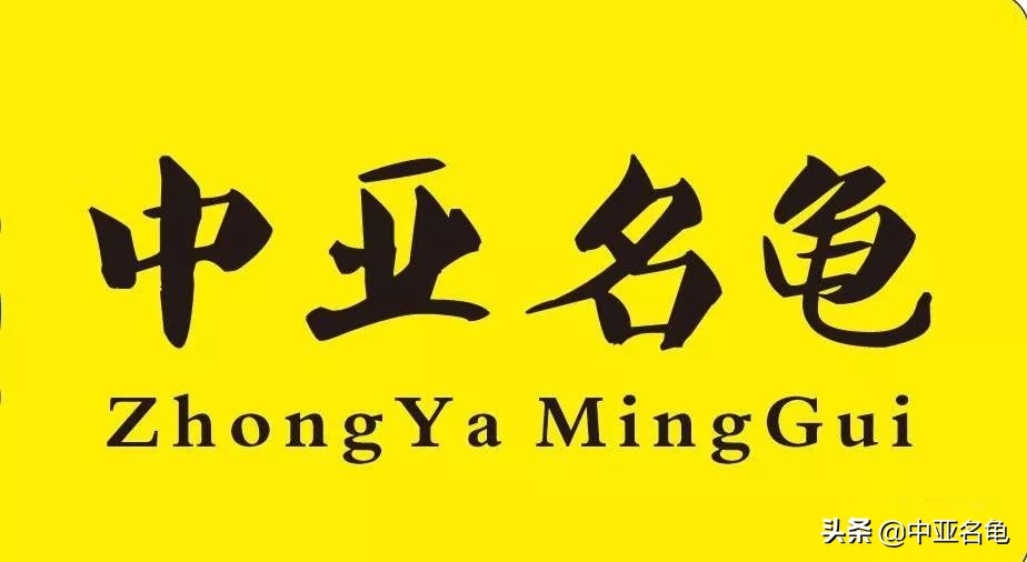 那些年那些被炒作过的乌龟,那些年炒作过的东西