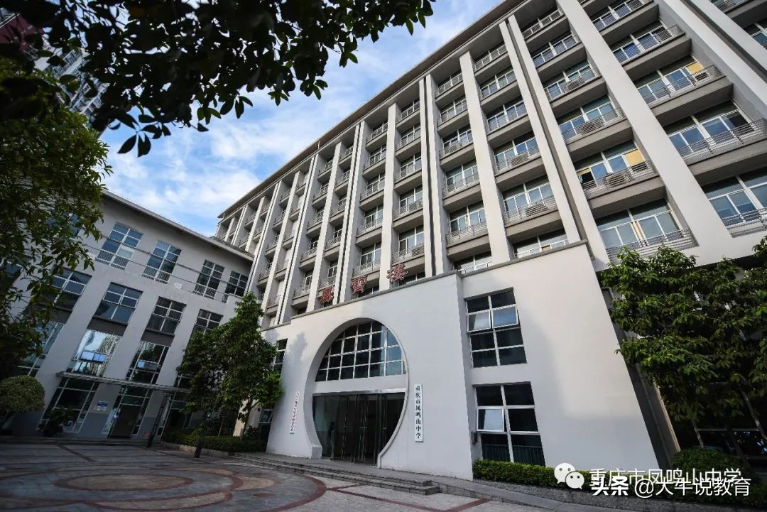 体育特长如何走统招路线,以艺术特长生进入高中