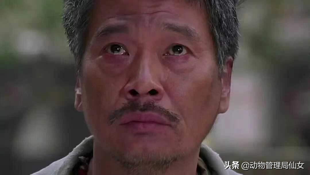 达叔吴孟达什么时候走的,达叔吴孟达一生回顾