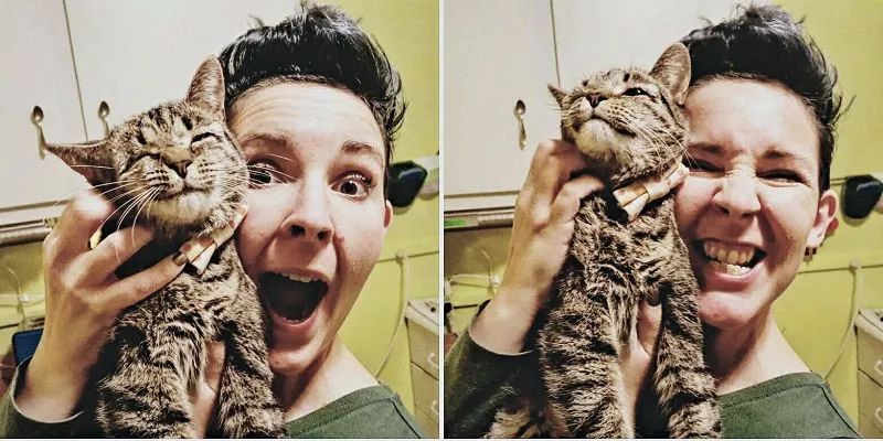 一只猫治愈了抑郁症,猫竟然能治愈抑郁症