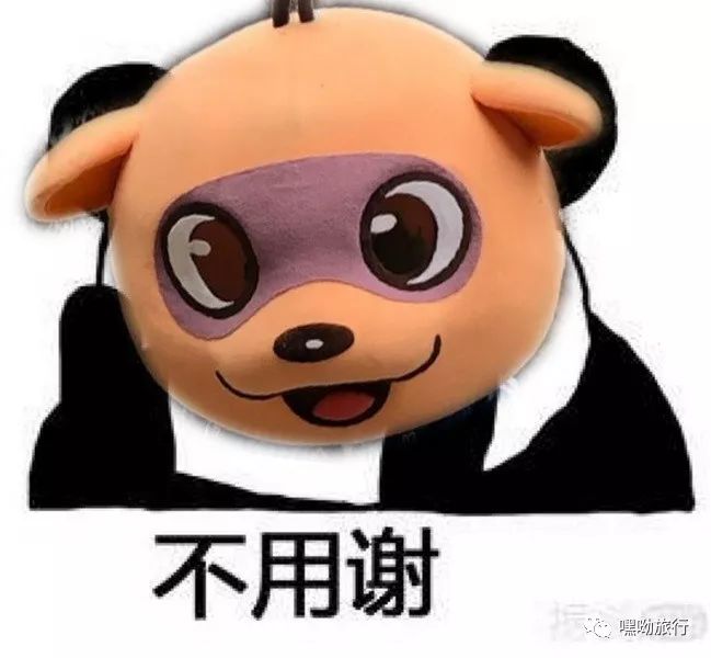 专治各种恐高症的玻璃栈道,少华山玻璃栈道旅游攻略