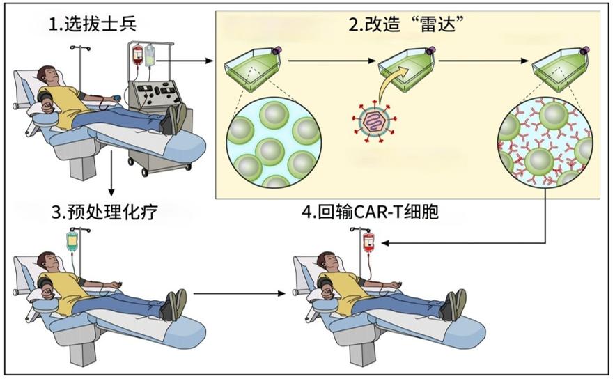 多发性骨髓瘤新的治疗手段有哪些？（上）