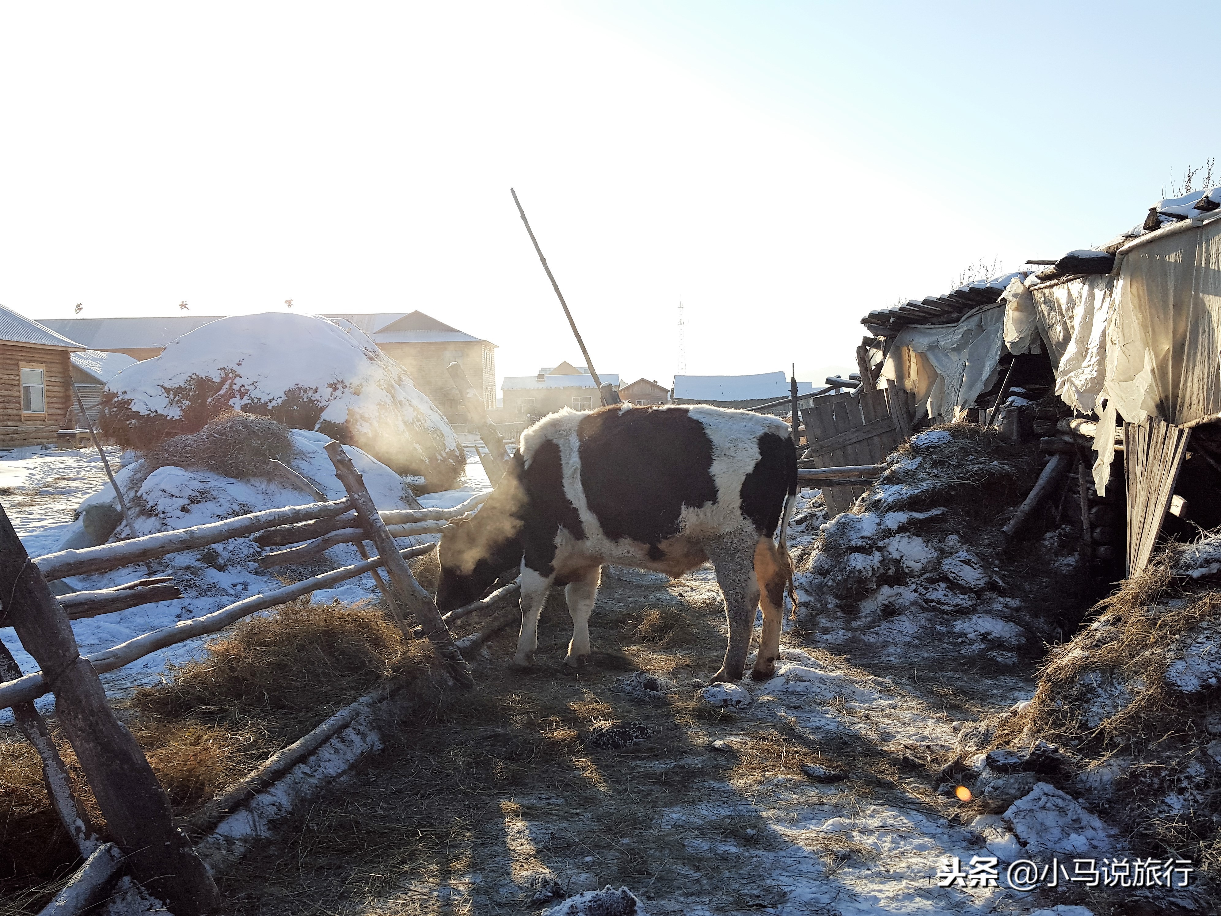 东北零下40度买雪糕,东北零下30度买雪糕