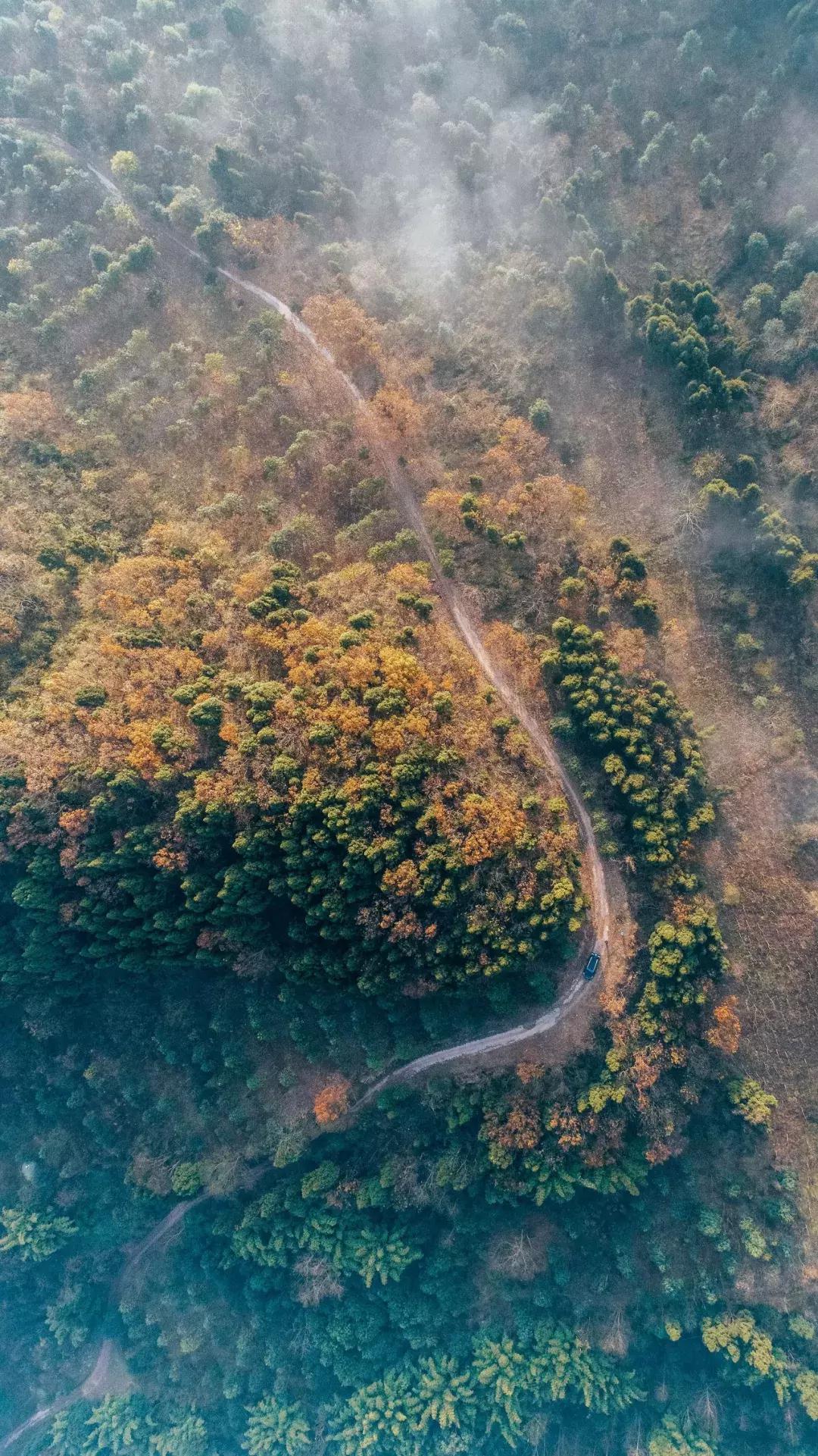 龙泉山山顶看美景,美丽的龙泉山
