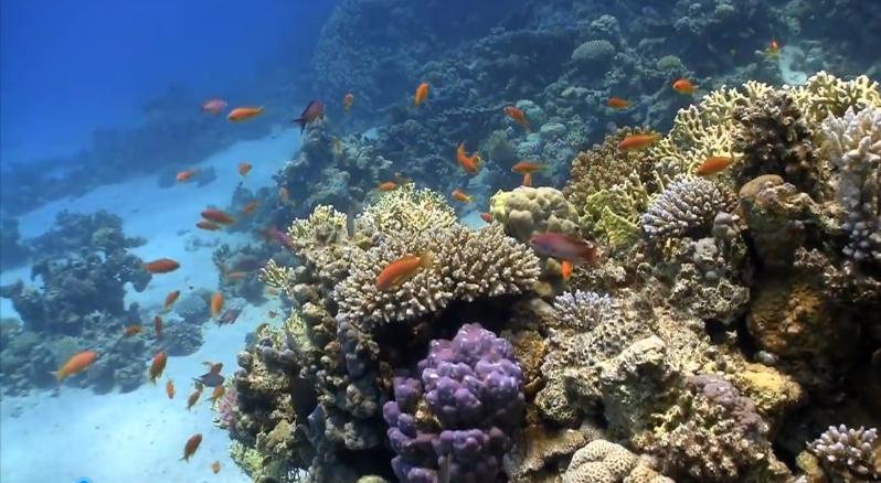 南海三沙建设效果图,南海三沙未来5年规划